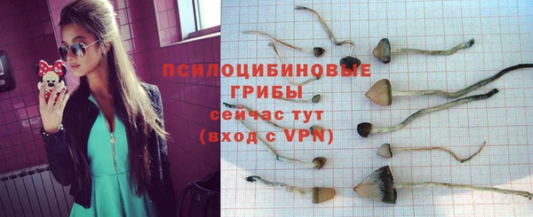2c-b Майский