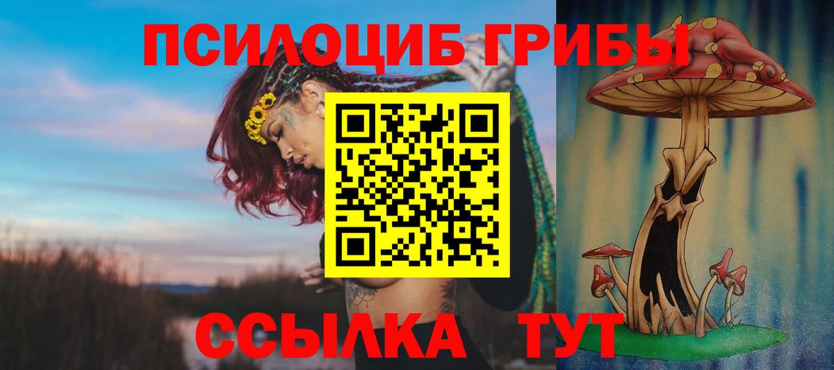 Псилоцибиновые грибы мицелий Тюмень