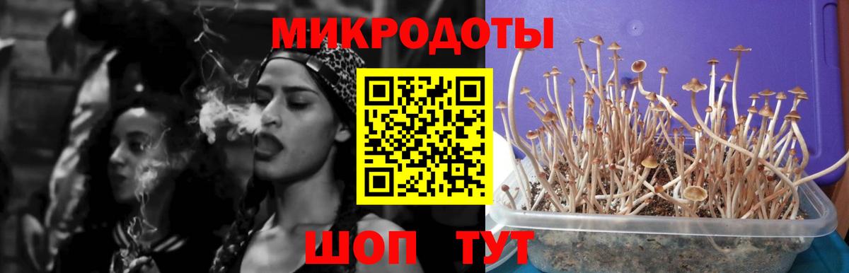 Псилоцибиновые грибы MAGIC MUSHROOMS Тюмень